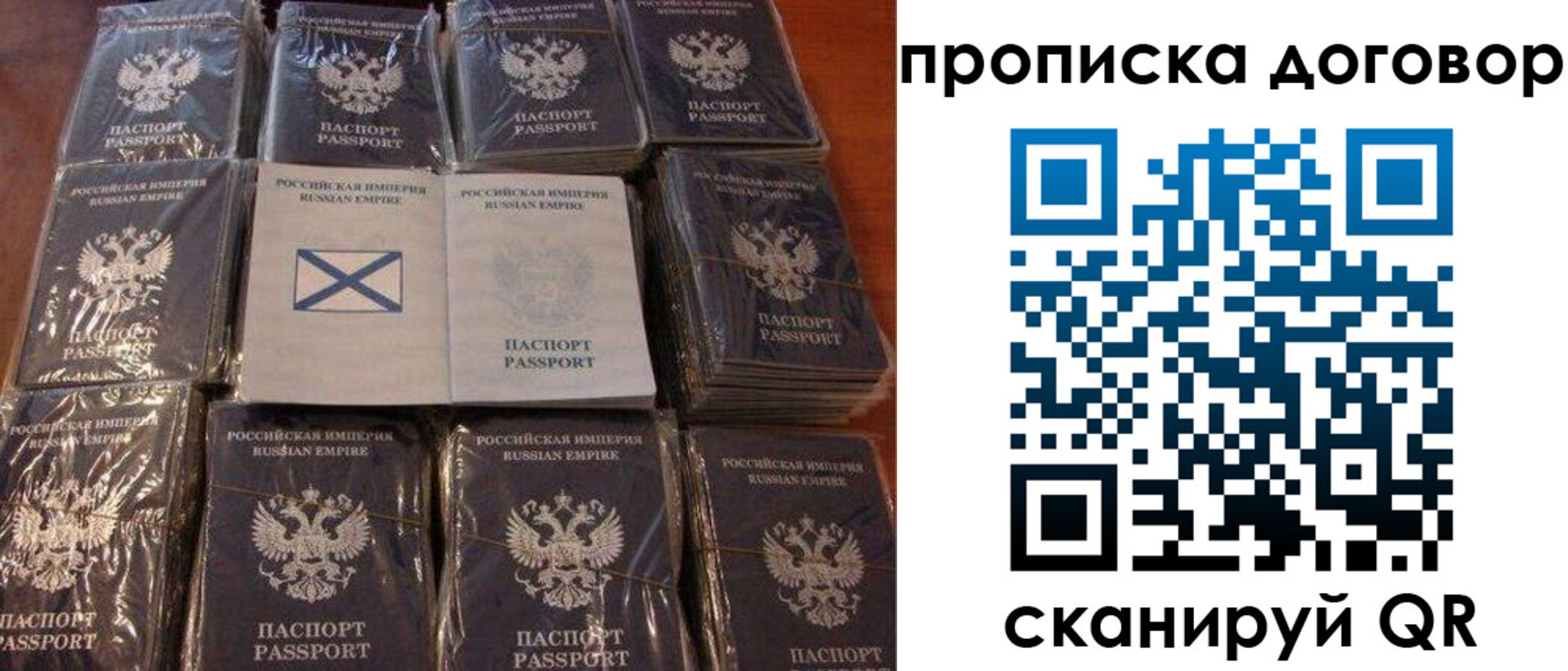 прописка в квартире в Кингисеппе